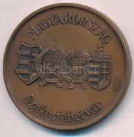 1991. "1946-1991. Magyarország-Székesfehérvár" Br emlékérem (42mm) szignózott T:2