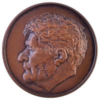 Lapis András (1942-) 1985. "Erdei Ferenc születésének 75. évfordulójára - Szeged 1985 - TE Szöv" Br emlékérem (43mm) T:1-,2