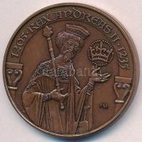 Fritz Mihály (1947-) 1997. "MÉE Székesfehérvár - II. András" Br emlékérem (42,5mm) T:2