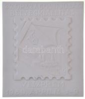 1989. "27. Országos Ifjúsági Bélyegkiállítás - Veszprém" jelzett herendi porcelán plakett (100x117mm) T:1-