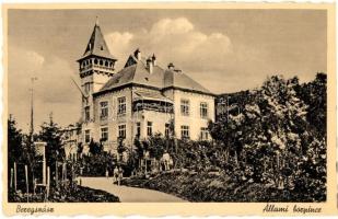 2 db régi kárpátaljai képeslap, Beregszász állami borpince, Ungvár / 2 pre-1945 Historical Hungarian (Transcarpathian) town-view postcards, Berehove winery, Uzhorod