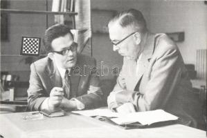 5 db MODERN sakk motívumlap, Nemzetközi Sakkszövetség / 5 MODERN chess motive cards, FIDE (Fédératio...