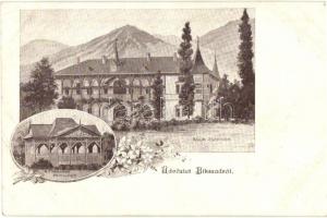 Bikszád, Bixad; Források pavilonja, Anna csarnok / spring pavilion, hall. floral (EK)