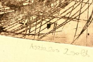 Asztalos Zsolt (1974-): 3 db rézkarc, papír, jelzett, 21×16-27×22 cm