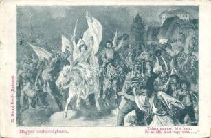 1899 Hungarian freedom-fight 1848-49