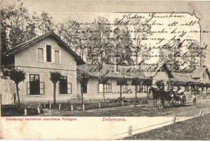 Debrecen-Pallag, Gazdasági Tanintézet convictusa. Pongrácz Géza kiadása (kissé ázott / slightly wet damage)