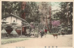 The Nara Park