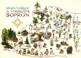 17 db MODERN térképes motívumlap / 17 MODERN map motive cards