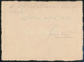 1917 Selze(Szlovénia), K.u.k. 271. Marschbataillon tiszti kara, hátoldalon feliratozott fotó, 9x12 c...