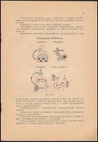 Técsői Móricz Béla: Páncélos csapatok harcászati alkalmazása. Bp., 1938, M. Kir. Honv. Min. Kiképzés...