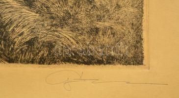 Olvashatatlan jelzéssel: Patakpartján. Rézkarc, papír, 19×29 cm