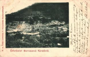 Borosznó-fürdő, Brusno-kúpele; látkép / panorama view (ázott / wet damage)