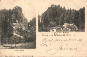 1899 Ceská Kamenice, Böhmisch Kamnitz; Fredevald / Pusty Zamek / Wüstes Schloss, Jägerhaus, Guesthaus / castle ruins, hunting lodge and guest house (EK)