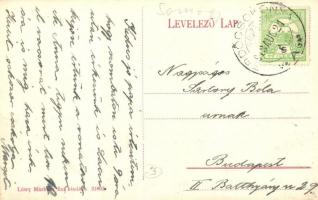 Erdőcsokonya (Csokonyavisonta), Római katolikus templom és parókia, Református templom, Grófi kastél...