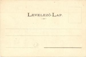 Kaposvár, Erzsébet utca, Erzsébet szálloda. Szabó Lipót kiadása (EK)