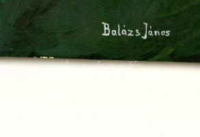 Balázs jelzéssel: Női portré. Olaj, vászon, 55×38 cm