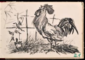 Arany László: A kóró és a kis madár. Magyar népmese. Szilvásy Nándor rajzaival. Bp.,1954, Ifjúsági K...