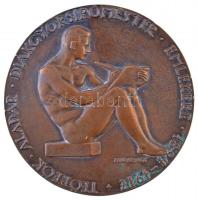 Madarassy Walter (1909-1994) DN "Teöreök Aladár Diákgyorsirómester emlékére 1894-1917." Br plakett, hátoldalán forrasztásnyom (123mm) T:2 patina