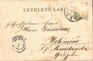 1904 Versec, Vrsac; Kudriczi út / Kudriczerstrasse / street view. photo (fl)