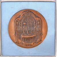 Ligeti Erika (1934-2004) 1975. "A Szocialista Magyar Gyógyszerellátásért 1950-1975" kétoldalas Br plakett eredeti tokban (97mm) T:2