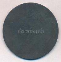 1959. "A Szakszervezeti Üdültetés 10-ik évfordulójára" fém emlékérem, eredeti tokban (60mm...