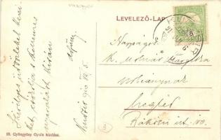 Kudzsir, Kudsir, Cugir; látkép, vasgyár. Gyöngyösy Gyula kiadása / general view, iron works, factory...