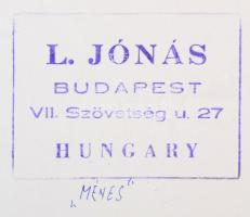Jónás László: Ménes. Vintage fotóművészeti alkotás, hátoldalán pecséttel jelzett, 28x38 cm