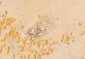 Tibeti ezüst "Zheng zhi" (Ag. 50% alatti ezüst tartalommal) sárkányos fali dísz, 22×2,5  c...