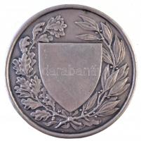 Berán Lajos (1882-1943) 1926. "Országos Testnevelési Tanács" ezüstözött Br érem, fémjel a ...