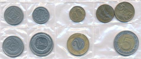 Vegyes: Ciprus 2010. 1c-2E (8xklf) forgalmi sor + Lengyelország 1990-2013. 1gr-5Zl (9xklf) forgalmi sor T:2 Mixed: Cyprus 2010. 1 Cent - 2 Euro (8xdiff) coin set + Poland 1990-2013. 1 Groszy - 5 Zlotych (9xdiff) coin set C:XF
