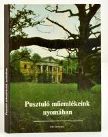 Pusztuló műemlékeink nyomában. Szerk.: Ézsiás Anika, Szakály István. Bp., 1983, RTV-Minerva. Kiadói kartonált papírkötés.