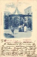 1899 Előpatak, Valcele; Fő forrás / Hauptbrunnen / Grand fountain (EK)