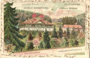 Borszék, Borsec; Cziffra Villa, Főkúthoz vezető út, Új templomhoz vezető erdei út. Radó Jenő és Gyula kiadása / villa. litho (kopott sarkak / worn corners)