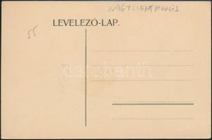 Nagyszentmiklós, Sannicolau Mare; Gróf Nákó Sándor kastélya / castle