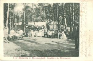 Nagyszeben, Hermannstadt, Sibiu; Első Virág Karnevál, cukrászda a Bükkös erdőben / Erster Blumentag, Conditorei in Birkenwald. Verlag Tittera & Czelnai Fotograf / First flower carnival, confectionery in the forest