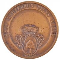 Makovinyi Kálmán / Ludvig BP 1935. "Arany János-Nagykőrös" Br emlékérem (50mm) T:2 fo