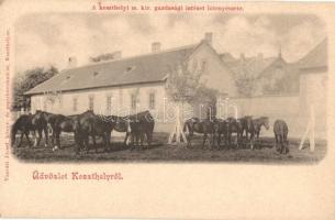 Keszthely, M. kir. gazdasági intézet lótenyészete. Vasvári József kiadása (vágott / cut)