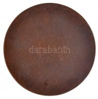 DN "Női portré" Br plakett (42,5mm). Szign.: SA(?) T:1-