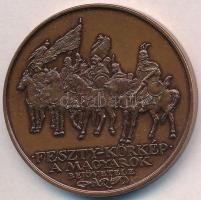 DN "Nemzeti Történeti Emlékpark Ópusztaszer / Feszty-körkép A magyarok bejövetele" Br emlé...