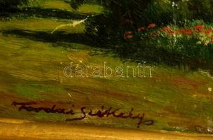 Tordai Székely Mihály (1890-1940): Virágok a tisztáson. Olaj, falemez, jelzett, sérült keretben, 19×...