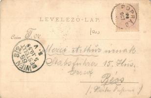 1899 Tátra, Kis-tarpataki óriási vízesése, híd / Klein-Kohlbacher Riesen-Wasserfall / waterfall, bri...