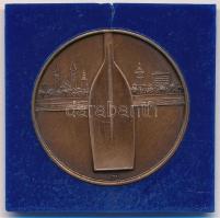 Lapis András (1942- ) 1985. "Szegedi Nemzetközi Regatta" Br emlékérem (42,5mm) T:1-