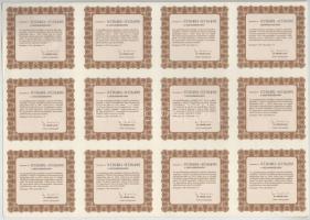 Budapest 1993. "SASAD Szövetkezeti Részvénytársaság" tíz darab bemutatóra szóló, szavazó r...