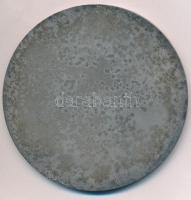 ~1970-1980. "Eredményes pártmunkáért BM PB - MSZMP" ezüstözött fém plakett dísztokban (90m...