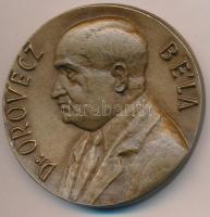 1973. "Dr. Orovecz Béla / Országos Mentőszolgálat 25 éves jubileuma emlékére" Br piefort emlékplakett, díszdobozban (68mm) T:2