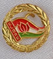 ~1970-1980. "Előre - Kiváló Úttörővezető" zománcozott kitüntetés mellszalagon, miniatűr ki...