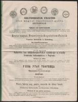cca 1890 Seltenhofer Frigyes tűzoltószer gyár képes reklámnyomtatvány magyar és más nyelveken 8 p. 26x34 cm