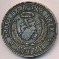 Románia DN Képzőművészeti Iskola - Románia ezüstözött emlékérem (52mm) T:2 Romania ND School of Fine Arts - Romania silver plated commemorative medallion (52mm) C:XF