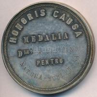 Románia DN "Képzőművészeti Iskola - Románia" ezüstözött emlékérem (52mm) T:2
Romania ND &...