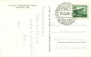 1952 Budapest, Országos Állattenyésztési Kiállítás - 2 db képeslap / 2 postcards + So. Stpl